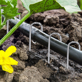 QNLONG J Hook Rebar Stakes ten-pack for multiple setups