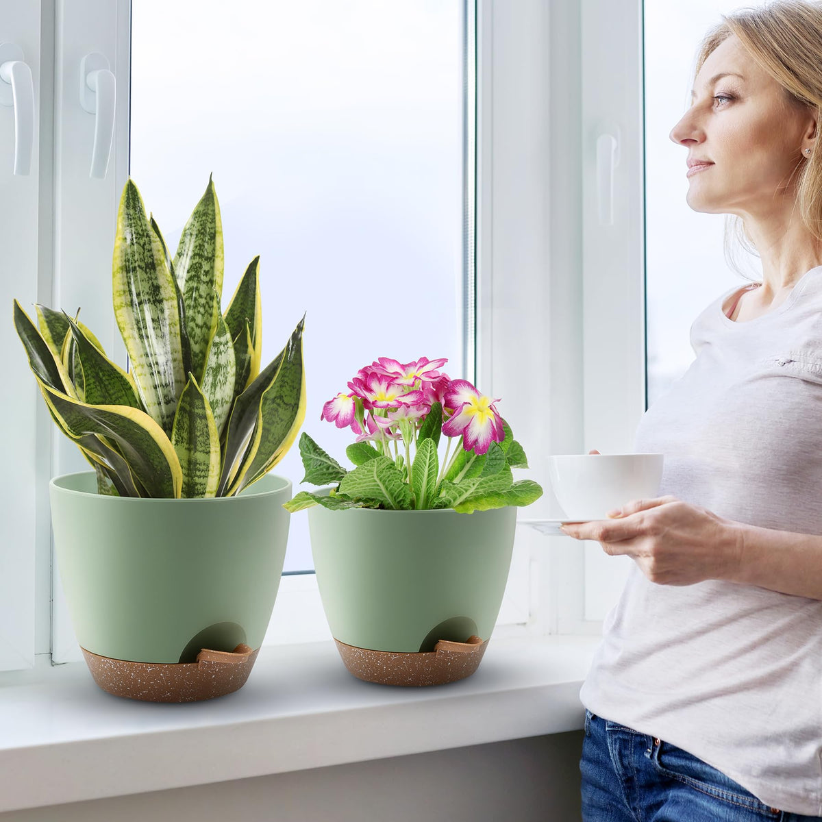 QRRICA indoor-outdoor suitability supports a variety of houseplants