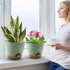QRRICA indoor-outdoor suitability supports a variety of houseplants