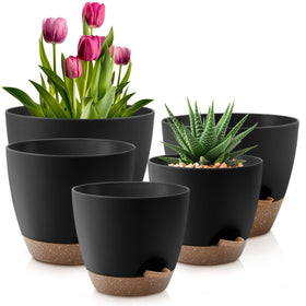 QRRICA self-watering pot 10-inch with drainage reservoir for thriving indoor plants.