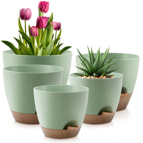 QRRICA self-watering pot 10-inch with drainage holes keeps indoor plants hydrated.