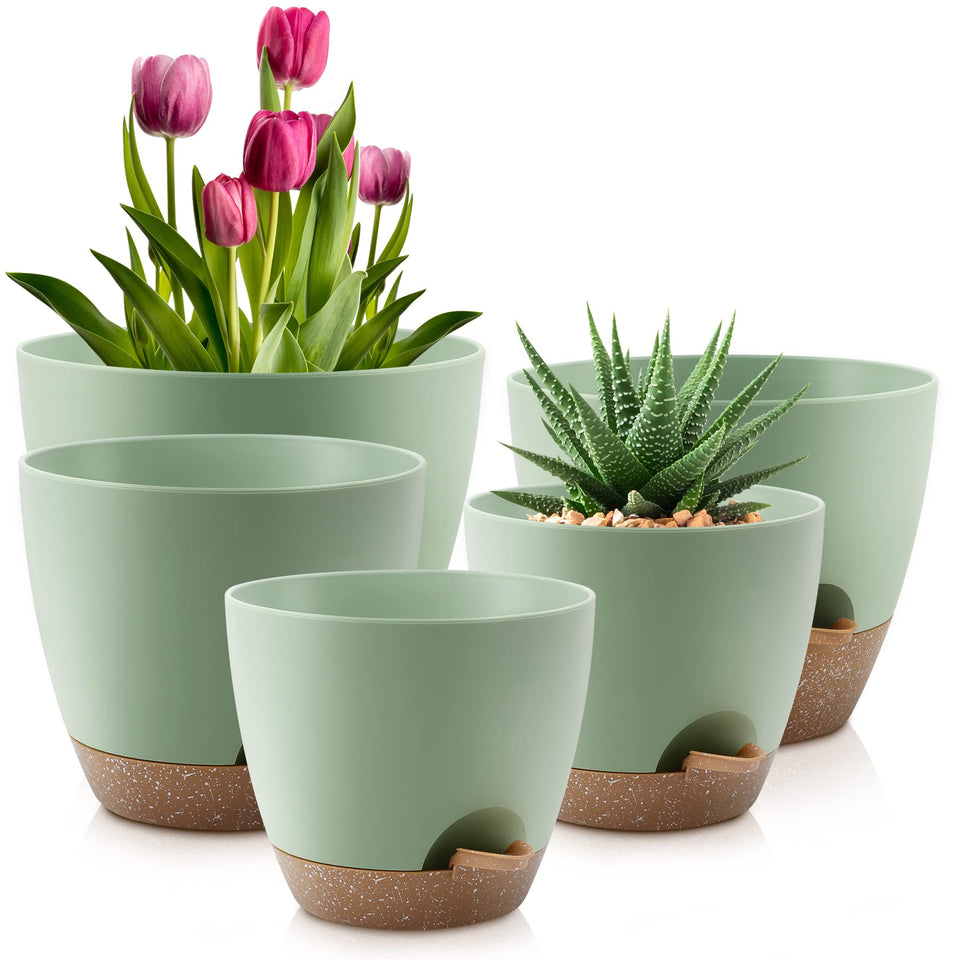 QRRICA self-watering pot 10-inch with drainage holes keeps indoor plants hydrated.