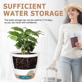QRRICA self-watering pot 5.5-inch suitable for herbs and succulents with saucer.