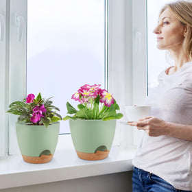 QRRICA 5-inch green pot keeps small plants thriving with built-in reservoir