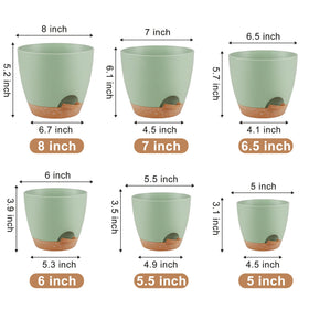 QRRICA 6-5-inch green pot features removable feeder for simple watering