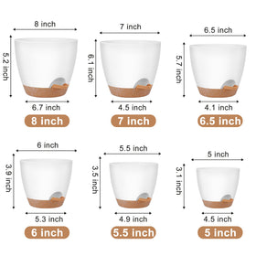 QRRICA self-watering pot 6.5-inch blends modern matte finish with practicality.