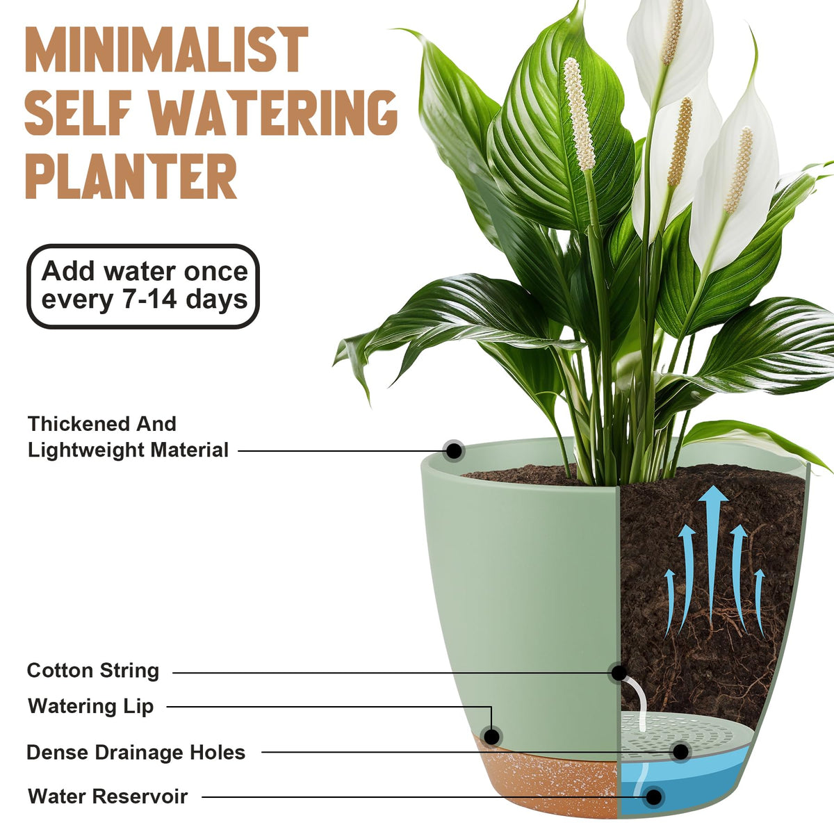 QRRICA 6-inch green pot with drainage holes and saucer enhances root health