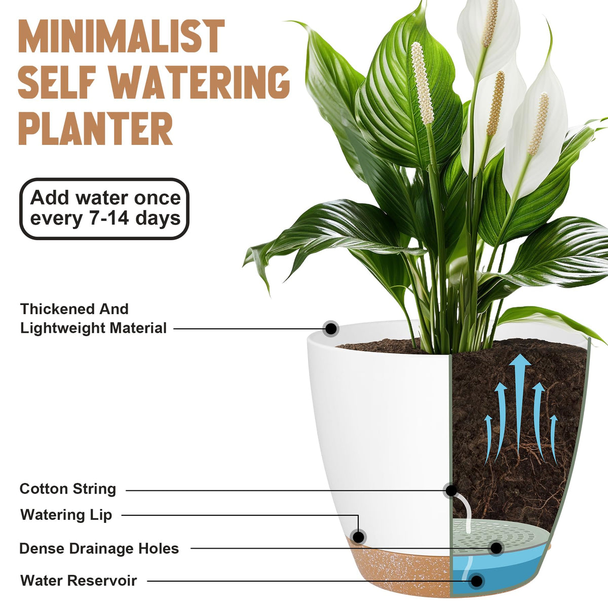 QRRICA self-watering pot 6-inch compact for small plants with removable feeder.