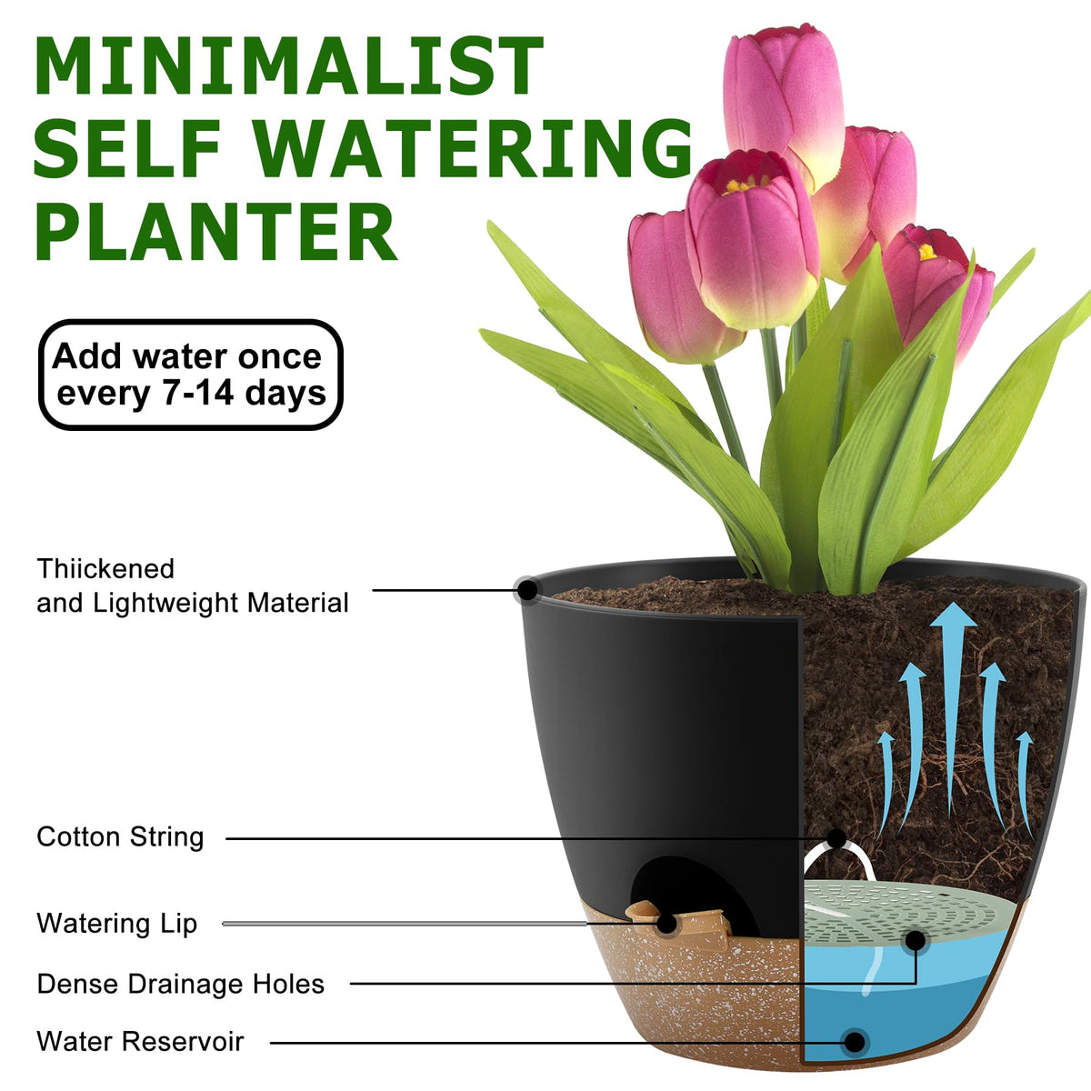 QRRICA 7-5 inch self-watering planter supports compact succulents and flowers.
