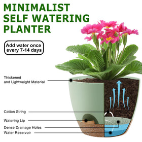 QRRICA self-watering pot 7.5-inch combines modern matte finish with steady moisture control.