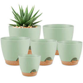 QRRICA 8-inch green self-watering pot with reservoir for steady moisture