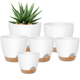 QRRICA self-watering pot 8-inch with integrated reservoir for low-maintenance indoor planting.