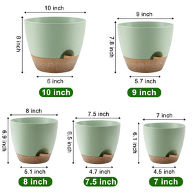 QRRICA self-watering pot 8-inch features a removable watering system for simple care.