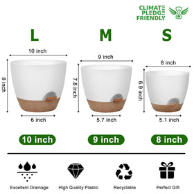 QRRICA 8inch white close-up drainage holes for healthy root growth.