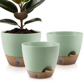 QRRICA self-watering pots 12-inch set maintain moisture for thriving plants