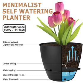 QRRICA 7.5 inch self-watering planter for compact foliage.
