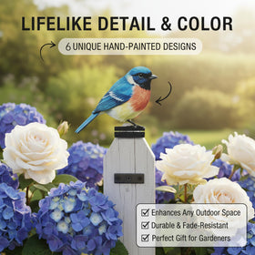 Qtaikong gift for bird lovers—colorful outdoor decor that sparks delight.
