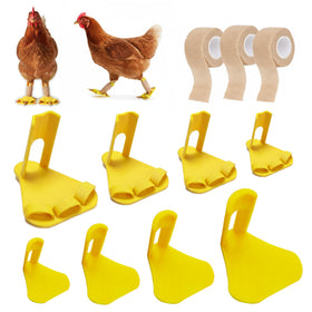 Qtaikong chicken leg splint with adjustable clamp stabilizing a leg during healing