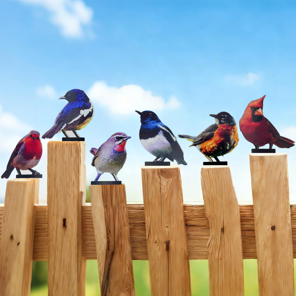 Qtaikong color-painted metal bird sculptures brighten fences with vibrant garden charm.