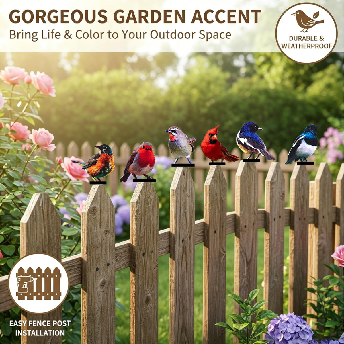 Qtaikong 6-piece set transforms patios and yards into lively avian retreats.