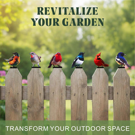 Qtaikong weather-resistant outdoor birds endure sun and rain while keeping color.
