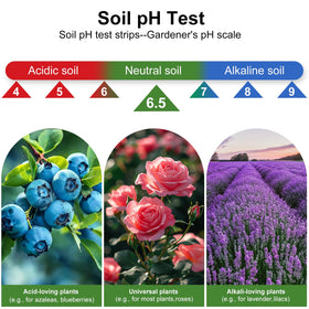 Qteeyou soil sample spoon for easy soil collection.