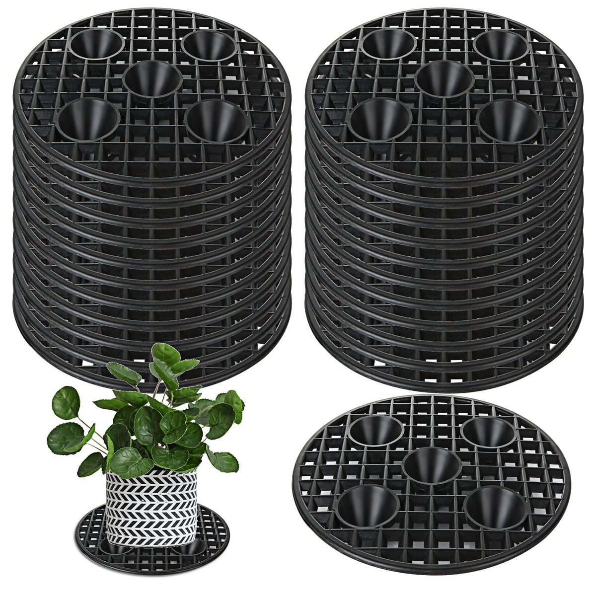 QTLCOHD 8 inch plant elevator close-up showing sturdy base for stable indoor use.