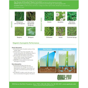 Quali-Pro Negate 37WG turf appearance after treatment