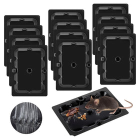 Qualirey 12-pack sticky mouse traps for indoor use with strong adhesive.