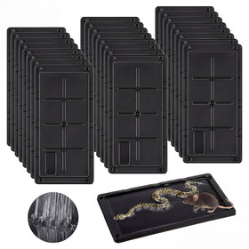 Qualirey glue traps 24-pack for walls and runways, safe, non-toxic indoor pest control