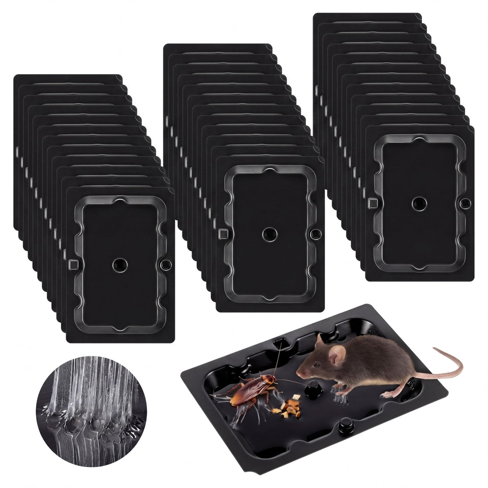 Qualirey 36-pack sticky mouse traps displayed for indoor use, ready to deploy.