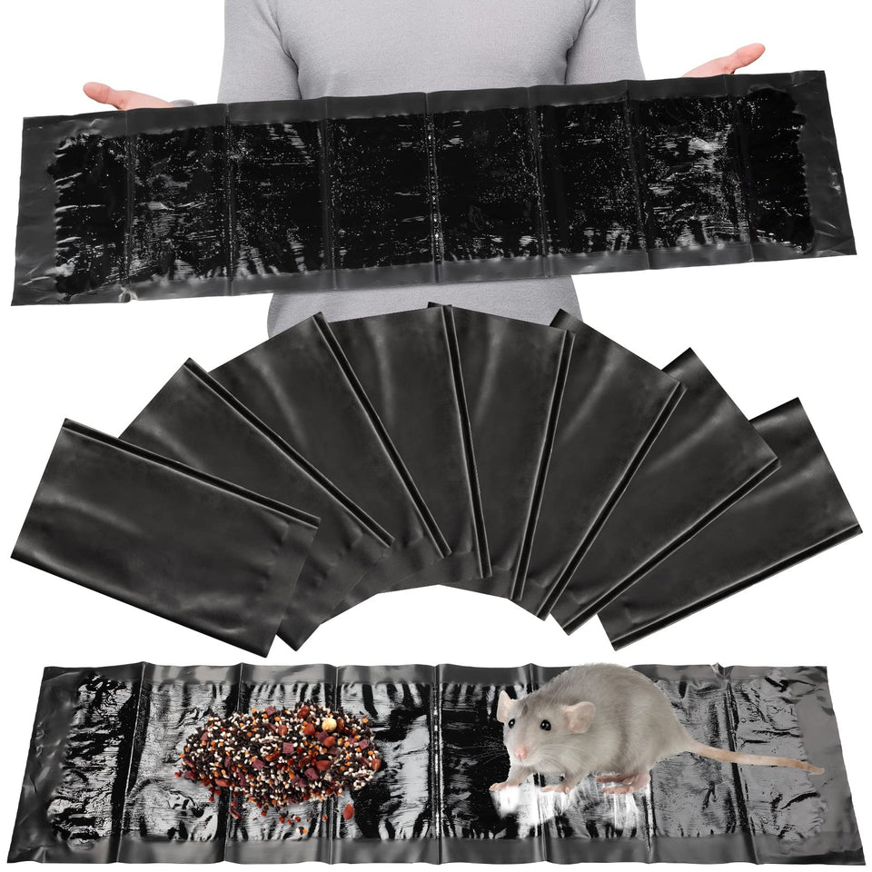 Qualirey 8-pack sticky traps packaging for easy setup and stock.