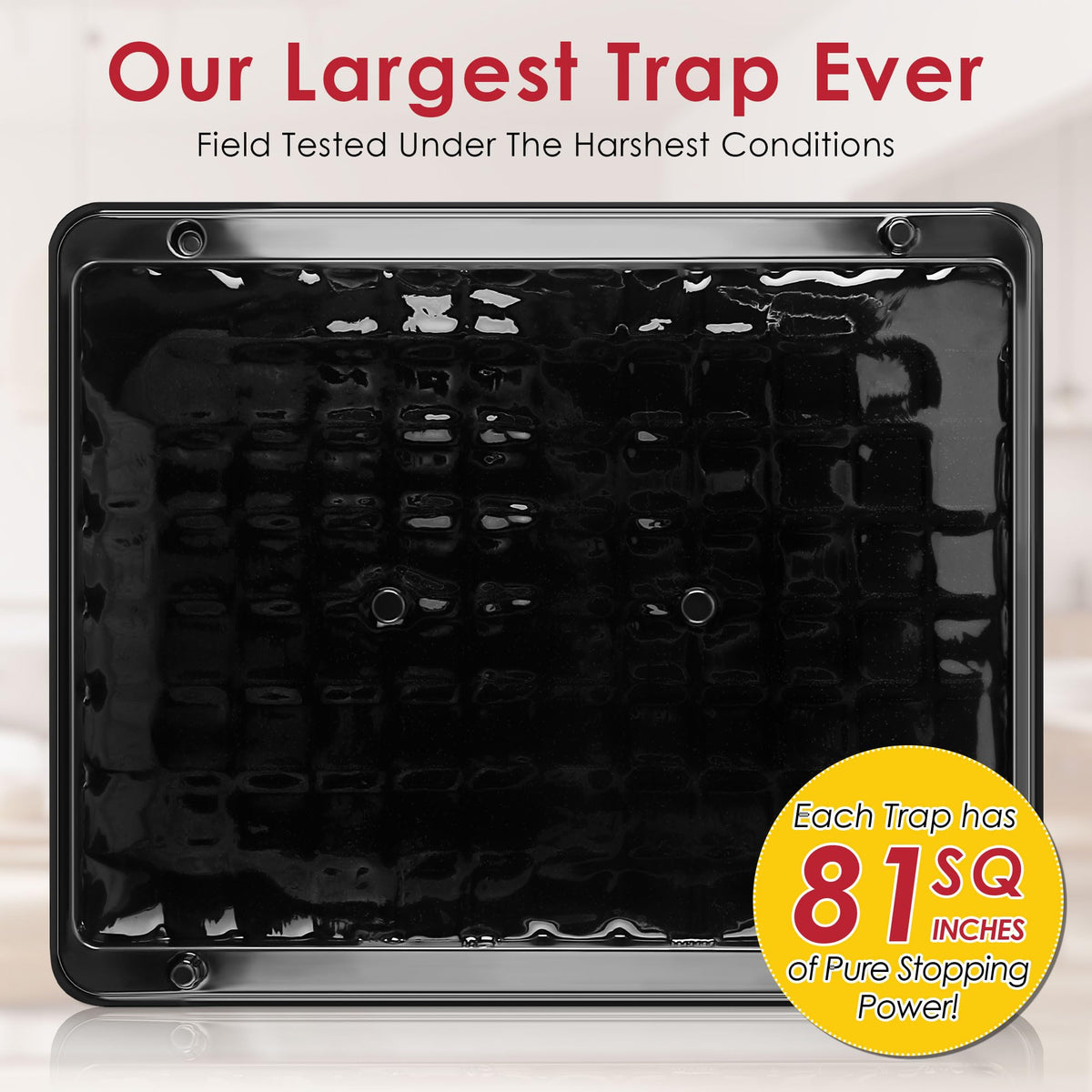Qualirey adhesive trap usable indoors and outdoors in diverse spaces