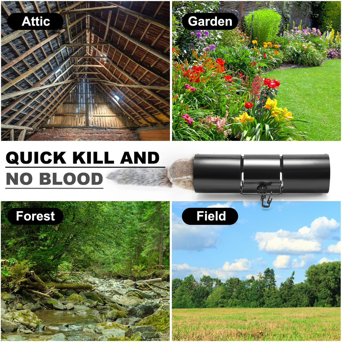 Qualirey backyard-friendly trap ideal for gardens and patios.