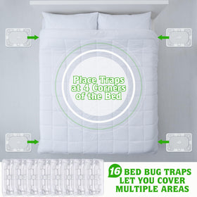 Qualirey bed bug detector in hotel room setup