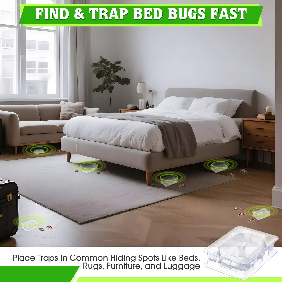 Qualirey bed bug detector trap features a ultra-sticky glue pad for capture