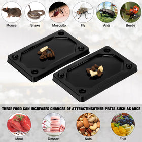 Qualirey black plastic glue board designed for versatile use.