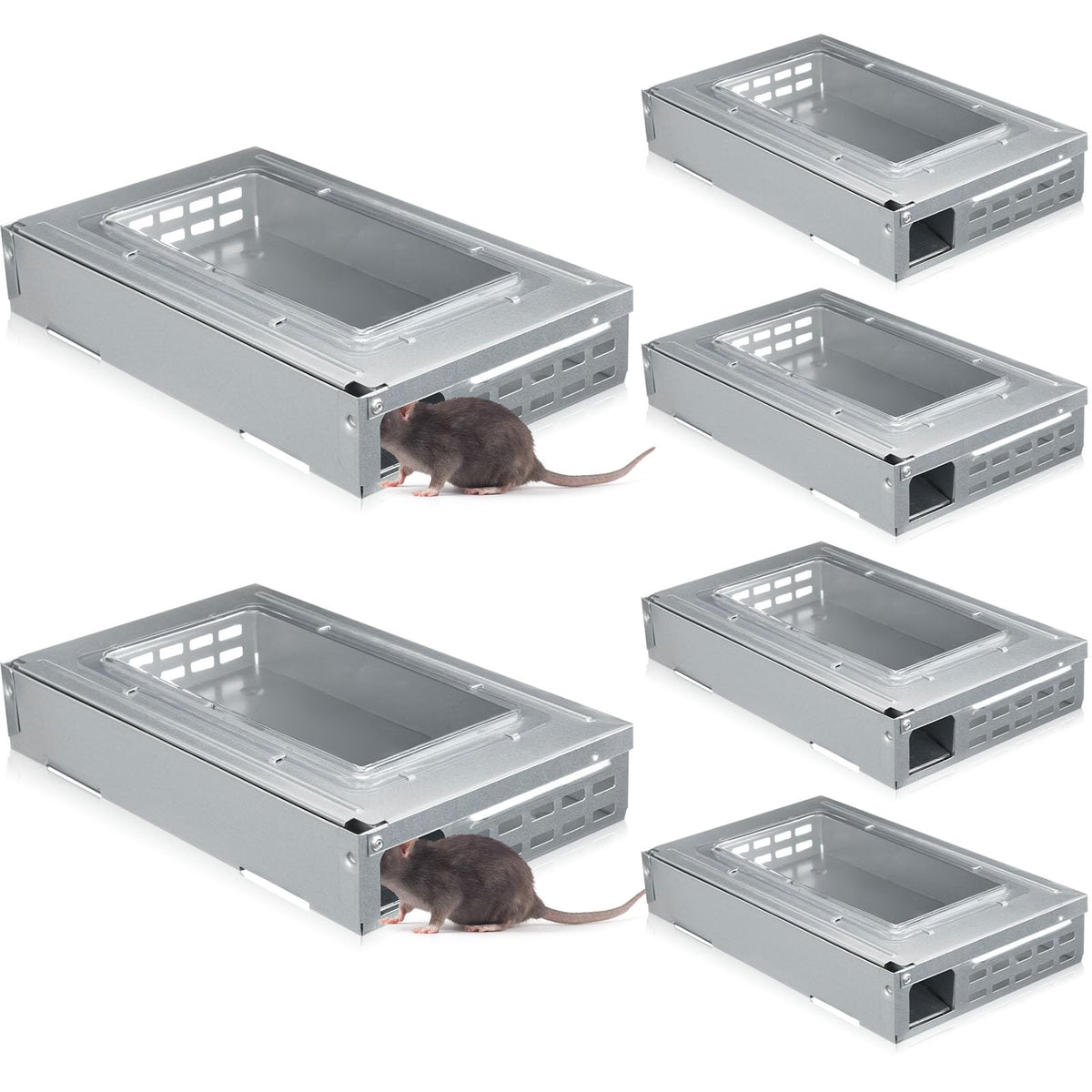 Qualirey clear-top mouse trap four-pack enables humane live capture indoors and outdoors.