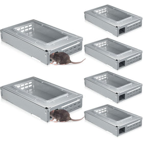 Qualirey clear-top mouse trap four-pack enables humane live capture indoors and outdoors.