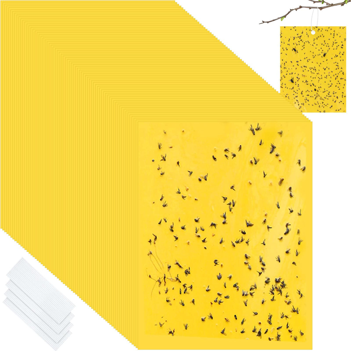 Qualirey double-sided sticky trap catching gnats on a plant