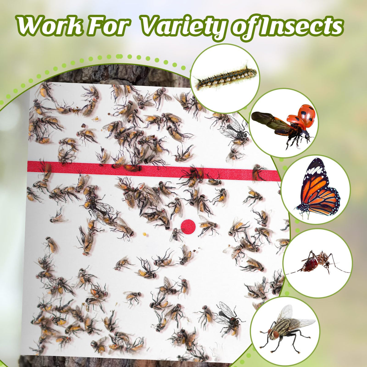 Qualirey thick-glue adhesive keeps insects captured on contact.