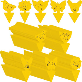 Qualirey fruit fly sticky traps with butterflies for indoor plant protection against pests