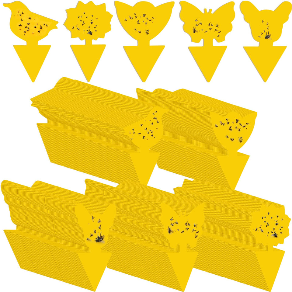 Qualirey fruit fly sticky traps with butterflies for indoor plant protection against pests