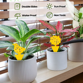 Qualirey traps with dogs add decorative yet effective pest control