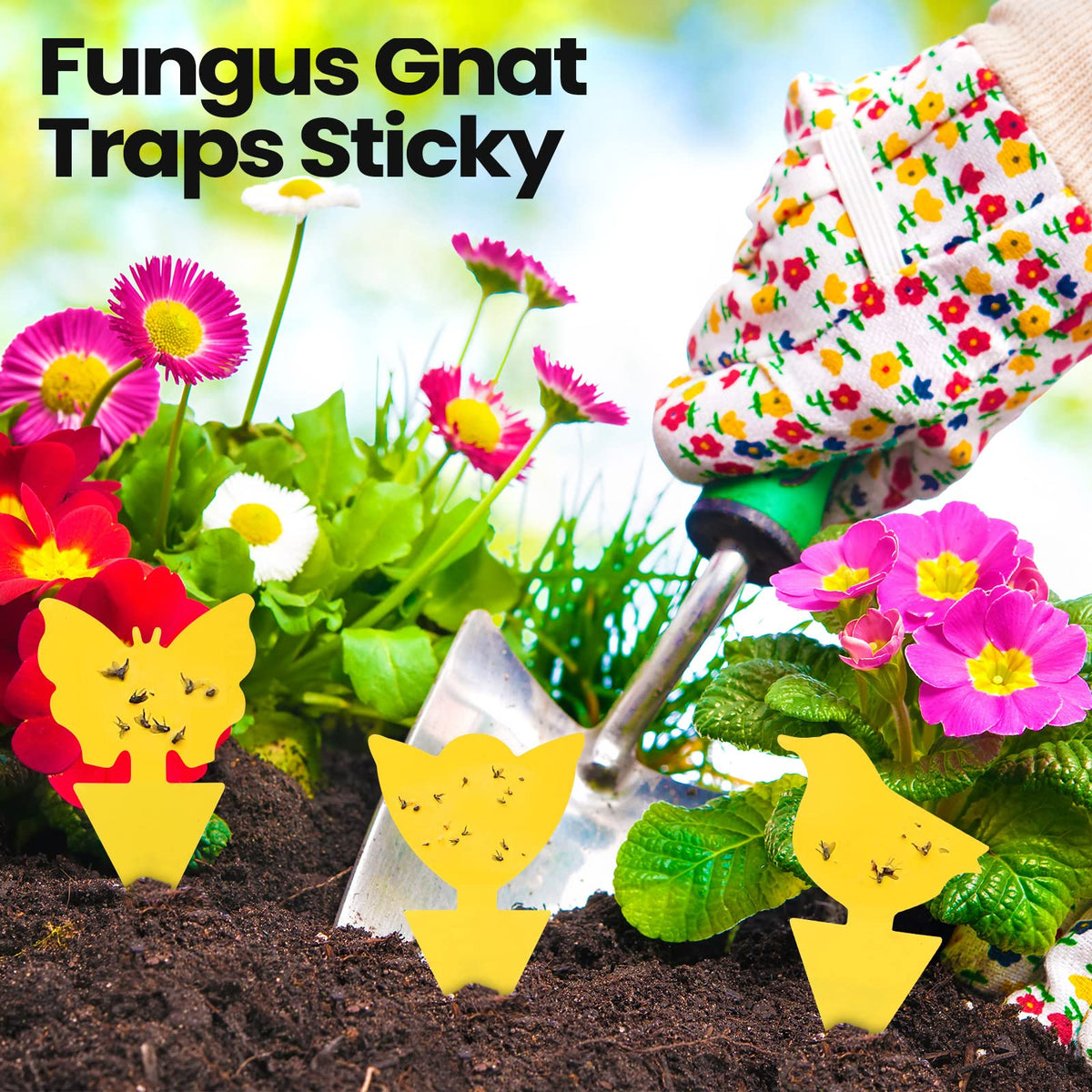 Qualirey traps suitable for indoor and outdoor use to protect plants