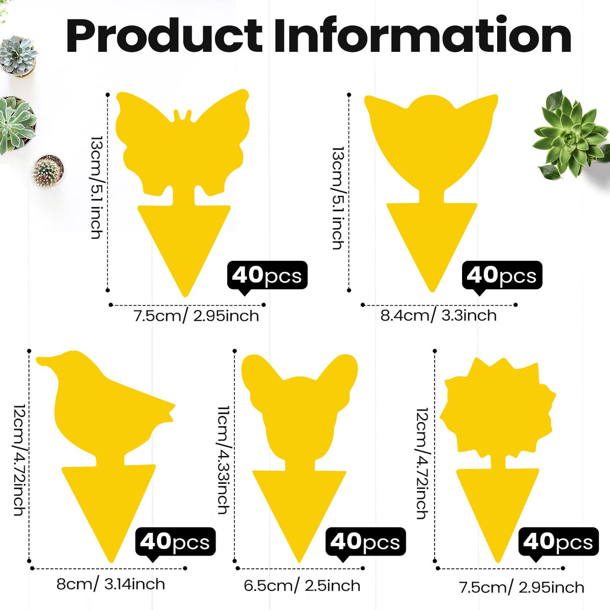 Qualirey traps with sunflowers for catching gnats around kitchen plants