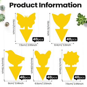 Qualirey traps with sunflowers for catching gnats around kitchen plants