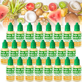 Qualirey fruit fly trap refill box for 24-pack indoor use