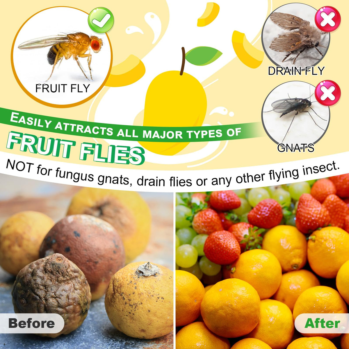Qualirey refill liquid safe around pets and children near food areas.