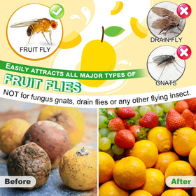 Qualirey refill liquid safe around pets and children near food areas.